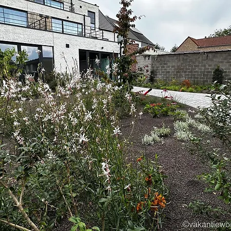 Vakantiewoning Erf64 Sint-Amands Exterior photo