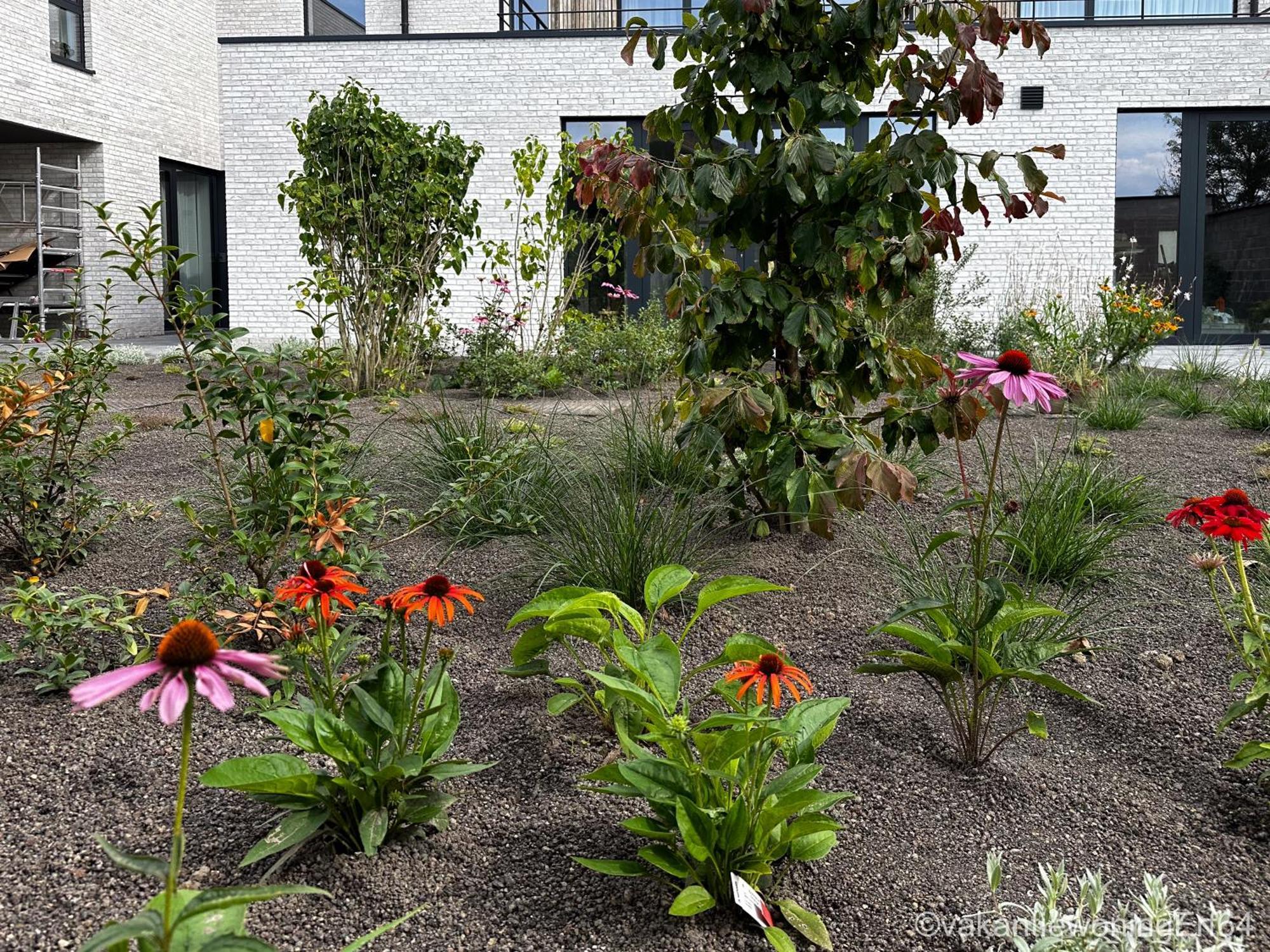 Apartment Vakantiewoning Erf64 *
